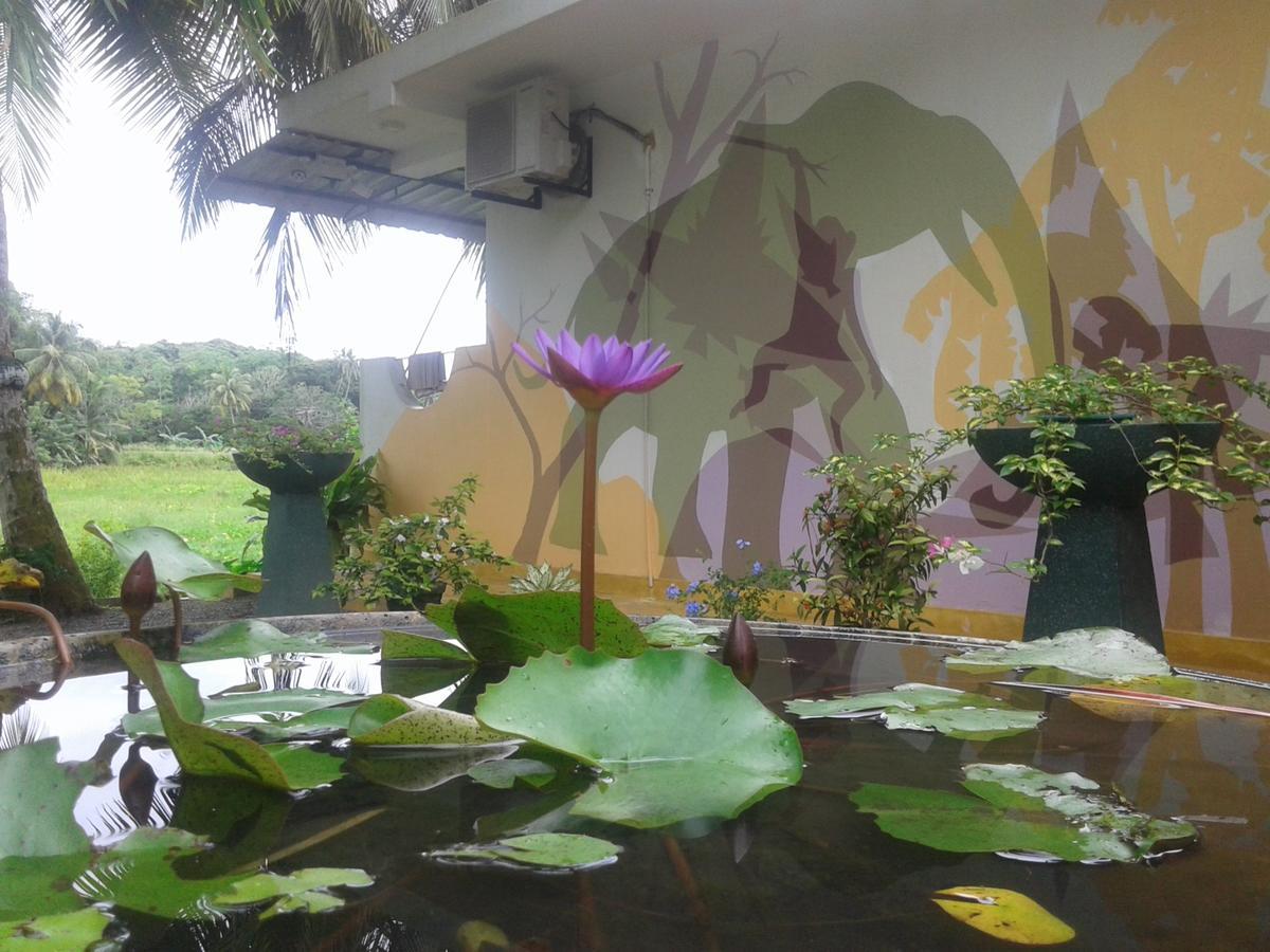 Paddy Field View Resort Mirissa Exterior foto